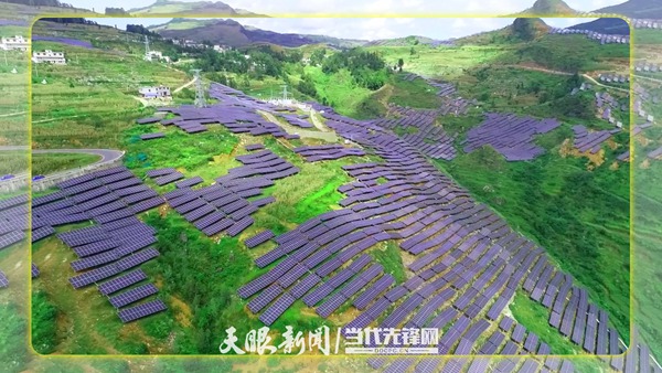 六盘水青林乡：3000亩“阳光产业”就绪，一体化“阳光伏利”可期！